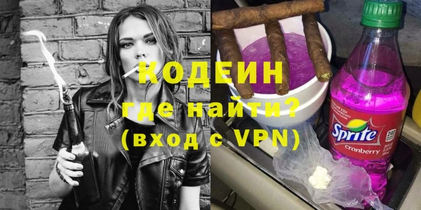 гашик Алексин