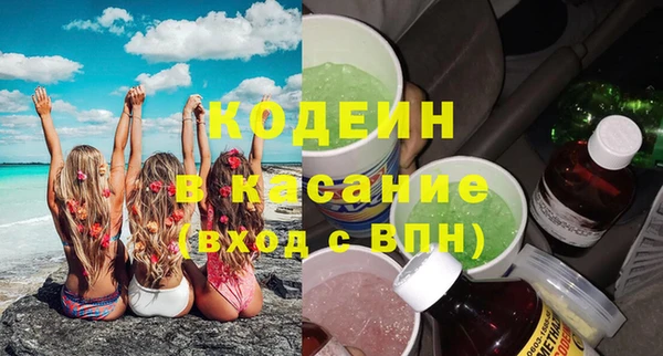 гашик Алексин