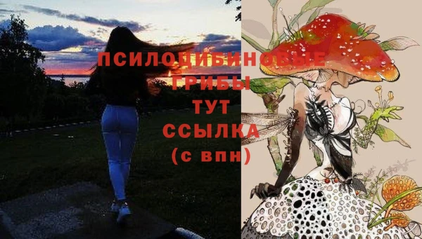 jwh Алзамай