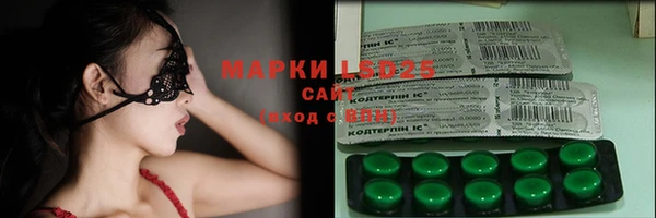 гашик Алексин