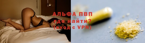 гашик Алексин
