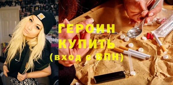 гашик Алексин