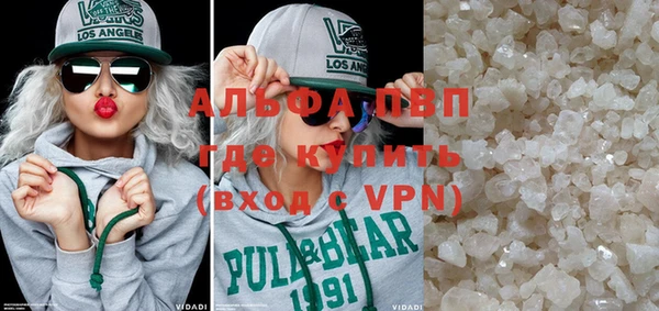 гашик Алексин