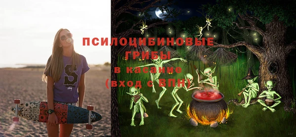 СК Алексеевка