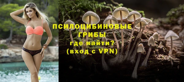 гашик Алексин
