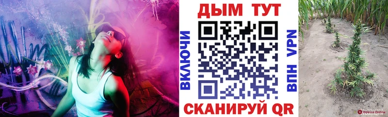 KRAKEN ТОР Слюдянка Бошки Шишки OG Kush